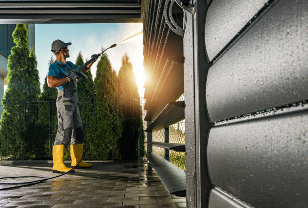 Best Building Exterior Washing  in Brandon, FL