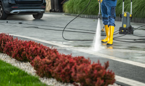 Best Driveway Pressure Washing  in Brandon, FL